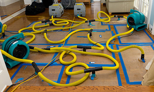 Professional Water Damage Repair technician working in Dale, IN